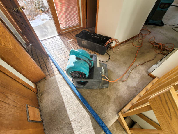 Best Ceiling water damage repair  in Maysville, KY