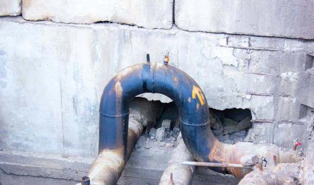 Best Water damage restoration near me  in Maysville, KY